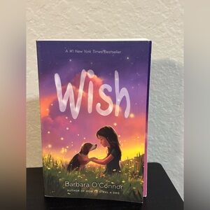 Wish by Barbara O'Connor - Purple & Orange Illustrated Hardcover